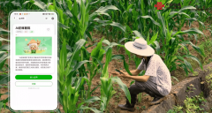 台引入“实值标注+专家反馈”的数据闭环机制